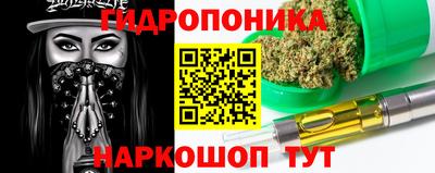 стаф Кохма
